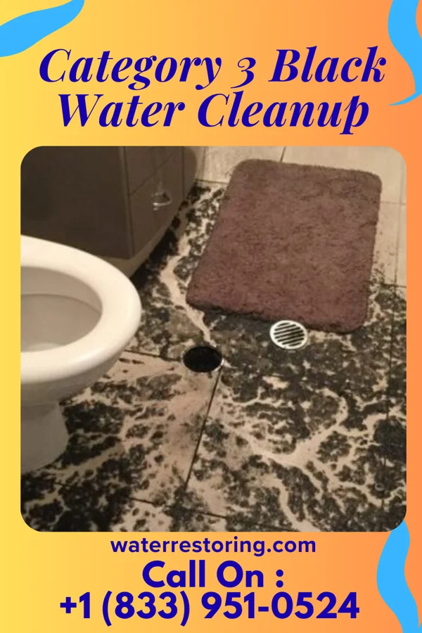 Category 3 Black Water Cleanup in San Augustine, TX