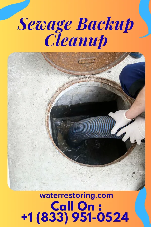 Sewage Backup Cleanup in San Augustine, TX