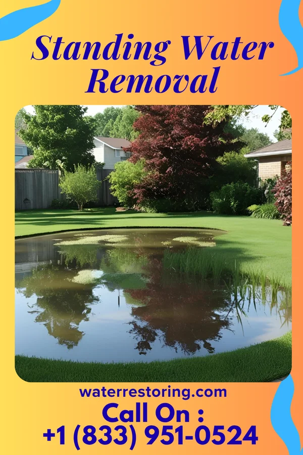 Standing Water Removal in San Augustine, TX